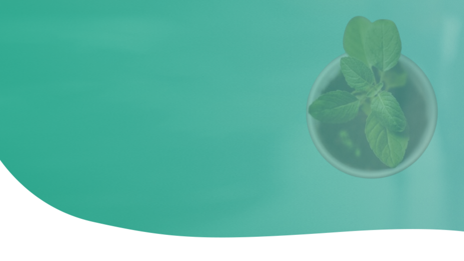 Sant Eknath Ayurvedic Hospital
